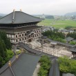 本堂上から画像:福井観光するなら越前大仏は必須！北陸屈指の珍スポット？