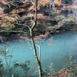 川　石川で、紅葉なら山中温泉鶴仙渓(かくせんけい)
