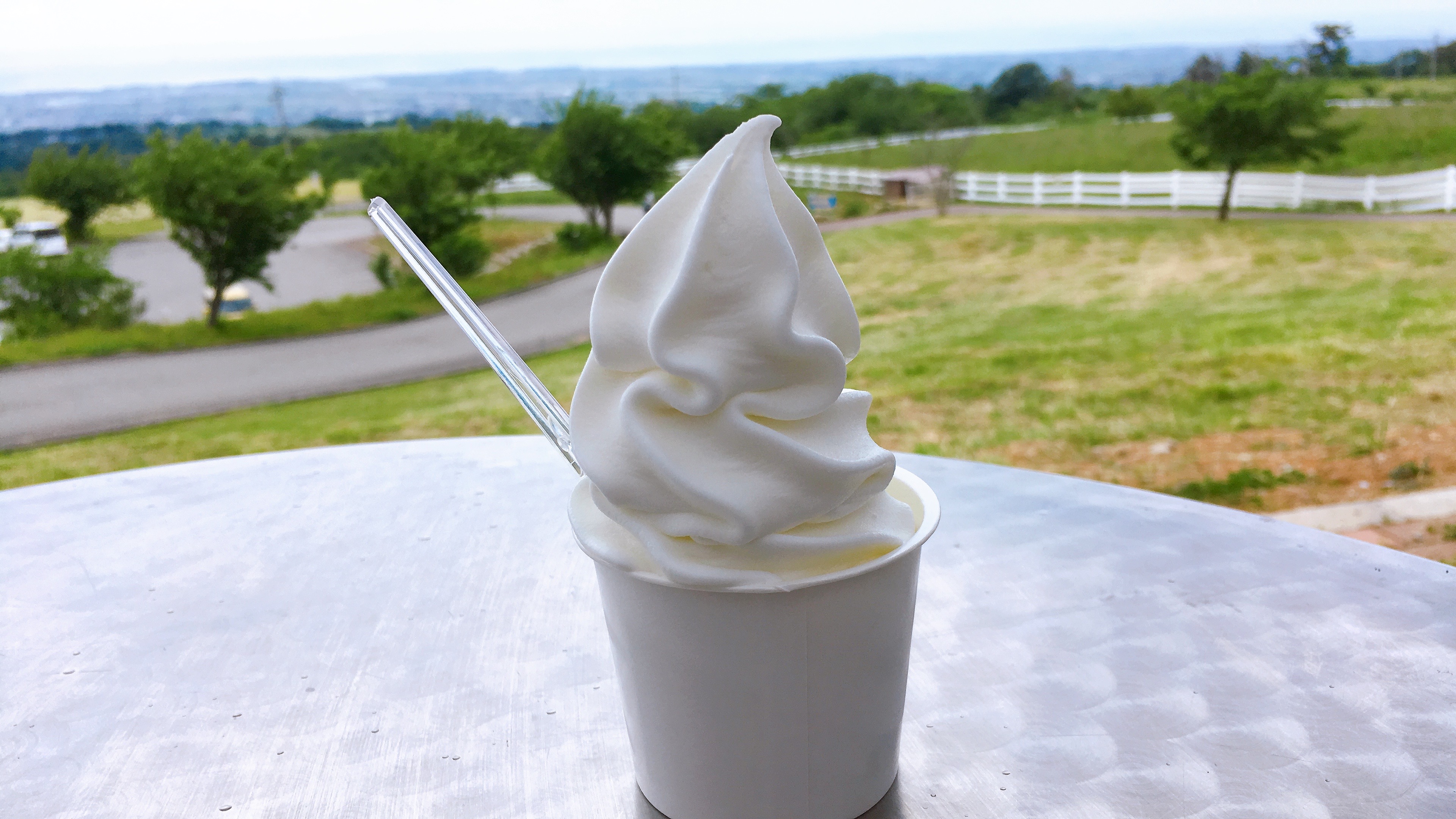 ソフトクリーム好きが富山でおすすめのソフトクリーム2選