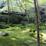 京都の寺と名所を巡る旅　祇王寺から大覚寺