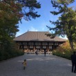 奈良世界遺産観光：凛とした空気の唐招提寺へ