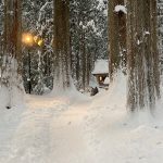 冬の雄山神社芦峅中宮(スキー場近く)は雪路で雰囲気良し
